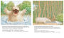 Alternative view 3 of Little Polar Bear/Bi:libri - Eng/Chinese PB