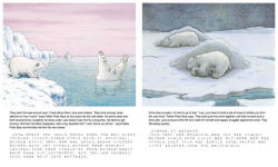 Alternative view 3 of Little Polar Bear/Bi:libri - Eng/Japanese