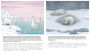 Alternative view 3 of Little Polar Bear/Bi:libri - Eng/Japanese