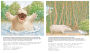 Alternative view 4 of Little Polar Bear/Bi:libri - Eng/Japanese