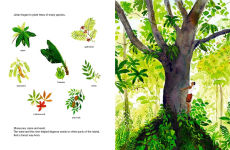 Alternative view 2 of The Forest Keeper-The True Story of Jadav Payeng