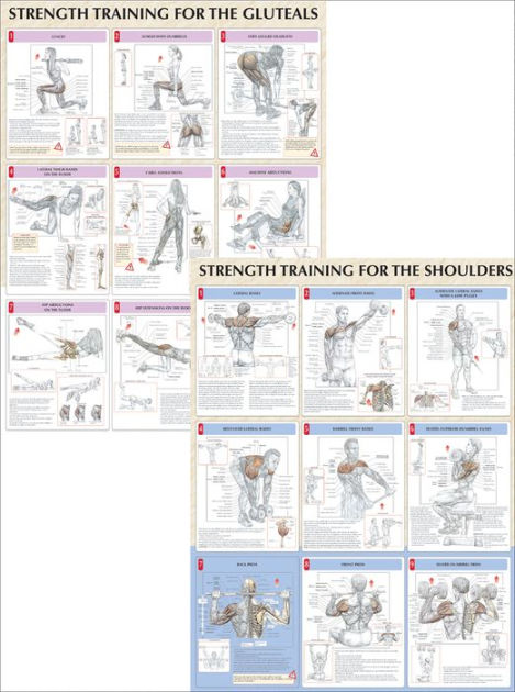 Strength Training Anatomy Poster Series by Frederic Delavier ...