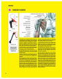 Alternative view 2 of Strength Training Anatomy (Third Edition) / Edition 3