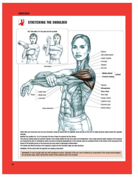 Strength Training Anatomy (Third Edition) / Edition 3