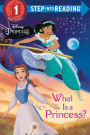 What Is a Princess? (Disney Princess)