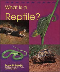 Title: What Is a Reptile?, Author: Lola M. Schaefer