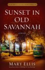 Sunset in Old Savannah