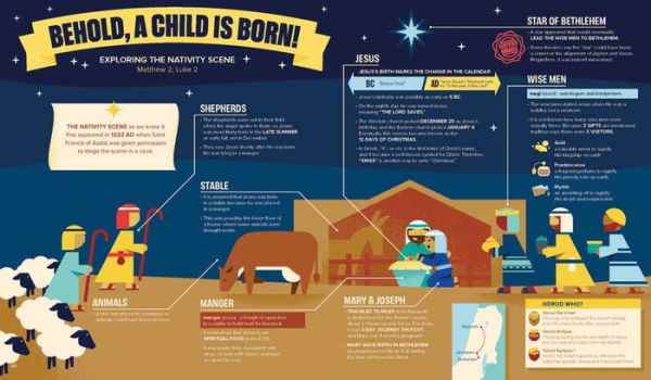 Bible Infographics for Kids: Giants, Ninja Skills, a Talking Donkey, and What's the Deal with the Tabernacle?