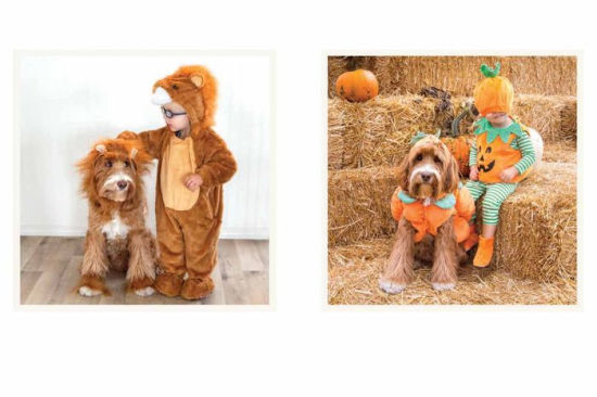 Reagandoodle and Little Buddy: The True Story of a Labradoodle and His Toddler Best Friend