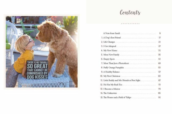 Reagandoodle and Little Buddy: The True Story of a Labradoodle and His Toddler Best Friend