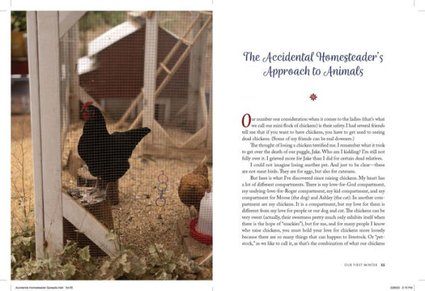 The Accidental Homesteader: What I've Learned About Chickens, Compost, and Creating Home