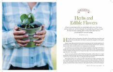 Alternative view 6 of The Family Garden Plan: Grow a Year's Worth of Sustainable and Healthy Food