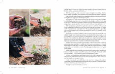 Alternative view 8 of The Family Garden Plan: Grow a Year's Worth of Sustainable and Healthy Food