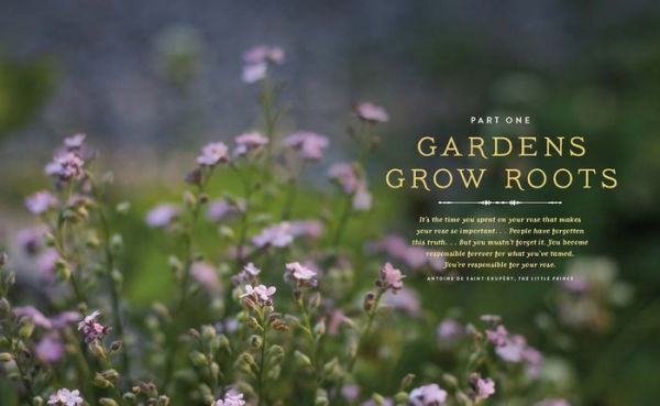 Seedtime and Harvest: How Gardens Grow Roots, Connection, Wholeness, Hope