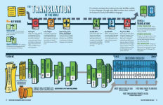Alternative view 4 of The Ultimate Infographic Guide to the Bible: *A Visual Survey of Every Book *Helpful Background, Charts, and Maps *A Must-Have Companion Resource