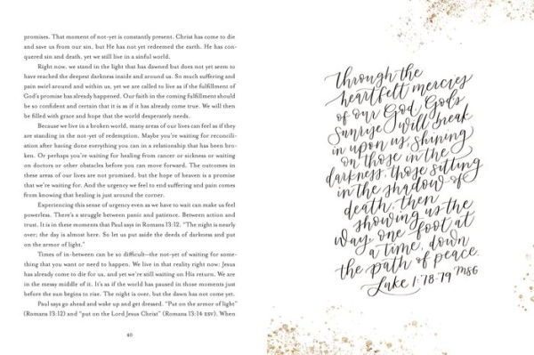 Every Day New: A Devotional Celebrating God's Many Mercies