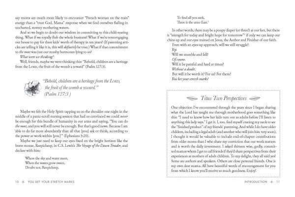 You Bet Your Stretch Marks: Finding Beauty and Worth the Ways Motherhood Marks Our Bodies Souls