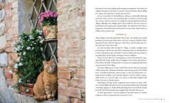 Alternative view 8 of Village Life: Discover Tuscan-Inspired Hospitality and Intentional Living
