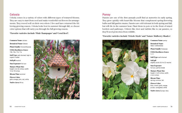 The Bricks 'n Blooms Guide to a Beautiful and Easy-Care Flower Garden