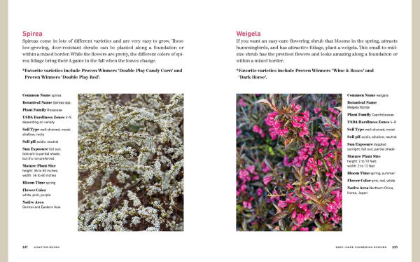 The Bricks 'n Blooms Guide to a Beautiful and Easy-Care Flower Garden