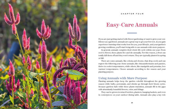 The Bricks 'n Blooms Guide to a Beautiful and Easy-Care Flower Garden