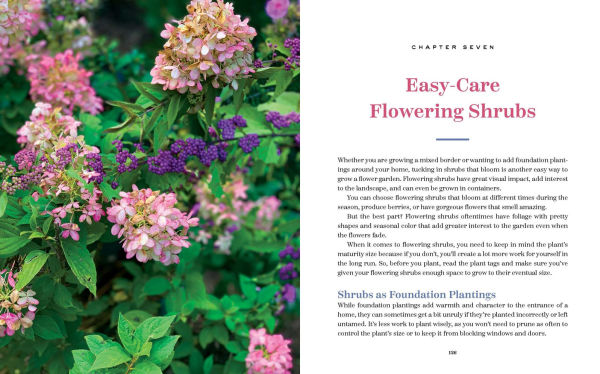 The Bricks 'n Blooms Guide to a Beautiful and Easy-Care Flower Garden