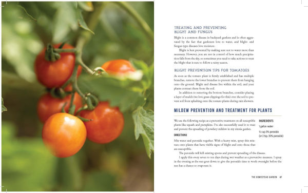 The Heart of the Homestead: Cultivating a Spirit of Simple Living Through Homemaking, Recipes, and Family