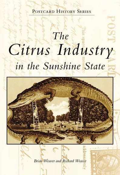 The Citrus Industry in the Sunshine State