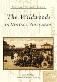 Title: The Wildwoods in Vintage Postcards, Author: Arcadia Publishing