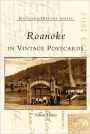 Roanoke in Vintage Postcards