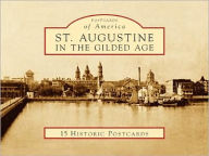 Title: St. Augustine in the Gilded Age, Florida (Postcard Packets), Author: Beth Rogero Bowen