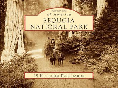 Sequoia National Park, California (Postcard Packets)