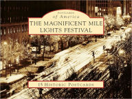 Title: Magnificant Mile Lights Festival, Illinois (Postcard Packets), Author: Ellen S. Farrar