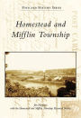 Homestead and Mifflin Township