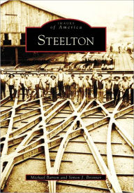 Title: Steelton, Author: Michael Barton