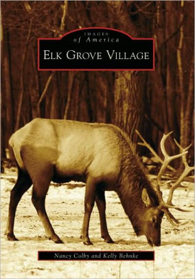 Elk Grove Village Illinois Images Of America Series By Nancy