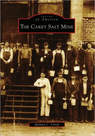 Title: The Carey Salt Mine, Author: Barbara C. Ulrich
