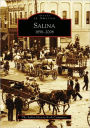 Salina: 1858-2008