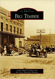 Title: Big Timber, Author: Leslie Paulson Stryker