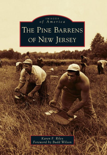 The Pine Barrens of New Jersey