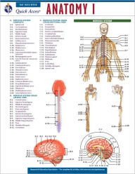 Title: Anatomy 1 - REA's Quick Access Reference Chart, Author: Editors of REA