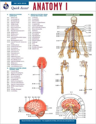 Rea Quick Access Reference Chart