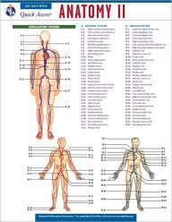 Title: Anatomy 2 - REA's Quick Access Reference Chart, Author: Editors of REA