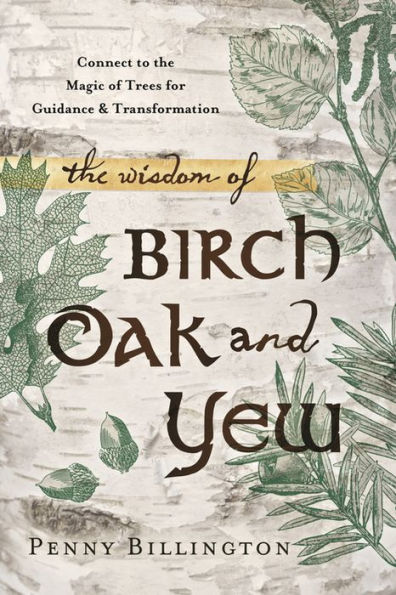 the Wisdom of Birch, Oak, and Yew: Connect to Magic Trees for Guidance & Transformation