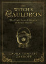 Witch's Cauldron: The Craft, Lore & Magick of Ritual Vessels