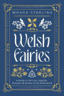 Welsh Fairies: A Guide to the Lore, Legends, Denizens & Deities of the Otherworld