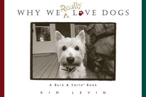 Why We Really Love Dogs: A Bark and Smile Book