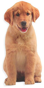 Title: Golden Puppy Bookmark