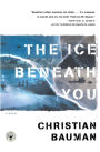 The Ice Beneath You: A Novel