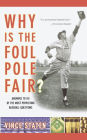 Why Is The Foul Pole Fair?: Answers to 101 of the Most Perplexing Baseball Questions